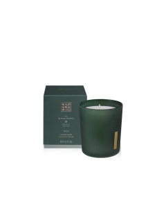 静仪式香薰蜡烛290g