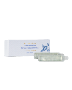 阿姆斯特丹系列车载香薰补充装3g*2